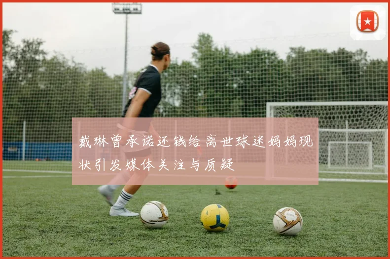 戴琳曾承诺还钱给离世球迷妈妈现状引发媒体关注与质疑