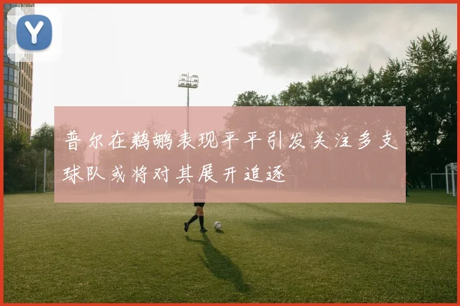 普尔在鹈鹕表现平平引发关注多支球队或将对其展开追逐